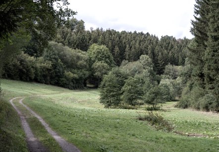 Schafbachtal, Eifelspur Sonne, Mond und Sterne, © Nordeifel Tourismus