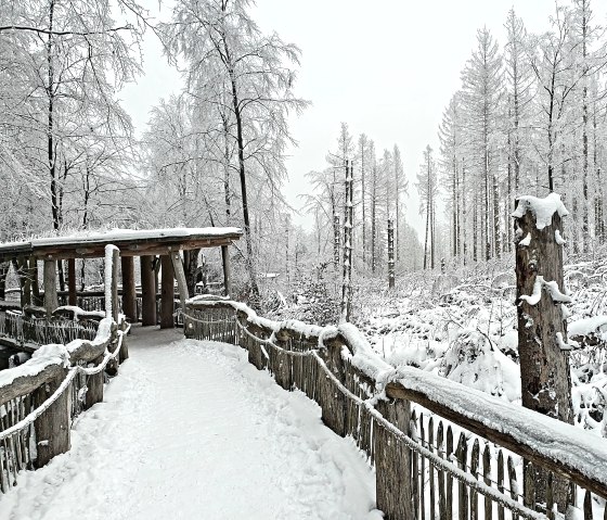 Wilder Weg im Schnee