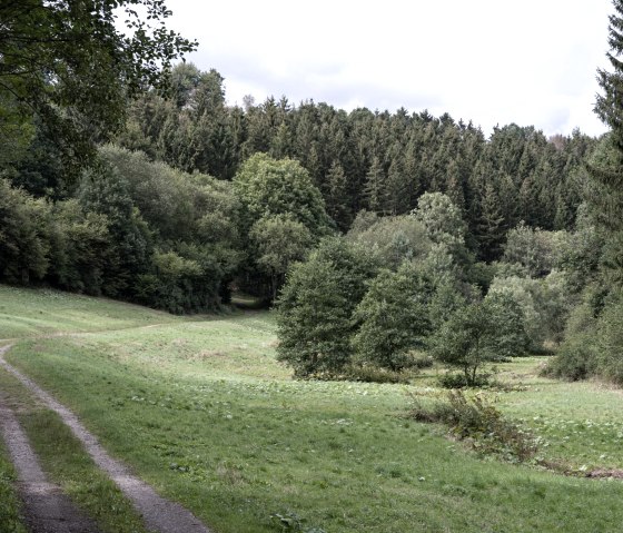 Schafbachtal, Eifelspur zon, maan en sterren, © Nordeifel Tourismus