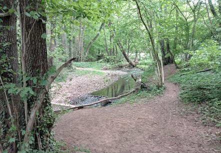 Mission Kraft schöpfen, © Seelsorge in Nationalpark Eifel und Vogelsang