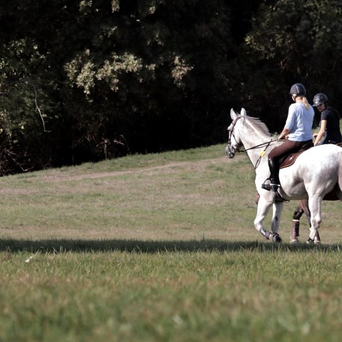 monter à cheval, © Nordeifel Tourismus Gmbh