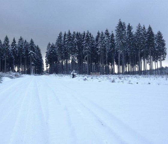 Winter im Nationalpark Eifel, © kph