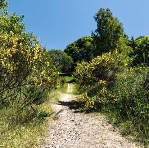 Kachel Wandern