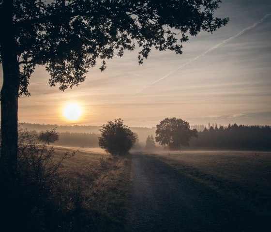 Aufbrechen Sonnenaufgang, © Vogelsang