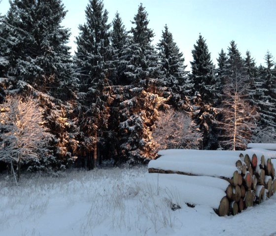 Wintermorgen im Nationalpark Eifel, © kph