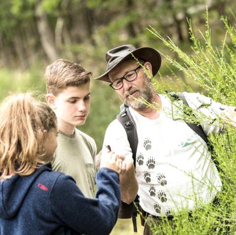 Familientag im Nationalpark Eifel, © D. Ketz