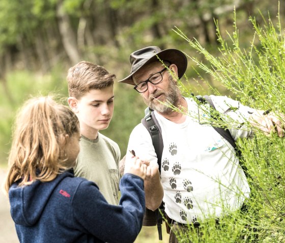 Familientag im Nationalpark Eifel, © D. Ketz