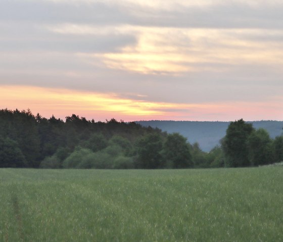 Randonnée matinale, © Rainer Faymonville