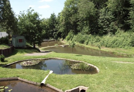 Teich am Silberquellchen, © Eifel Tourismus