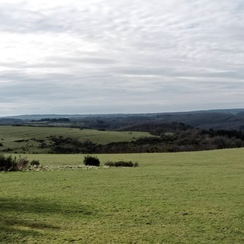 Dreiborn plateau, © Seelsorge in Nationalpark Eifel und Vogelsang