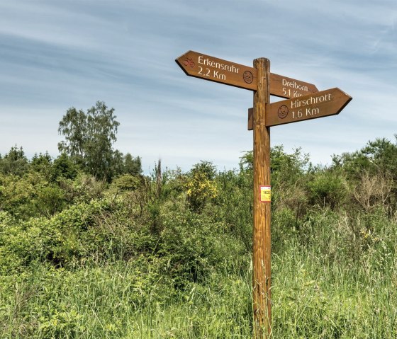 Natinalpark Eifel (2), © Doninik Ketz