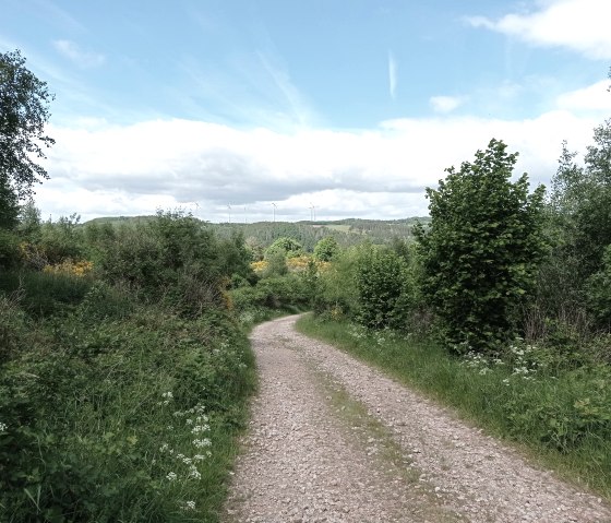 Partir corps et âme, © Nationalparkseelsorge