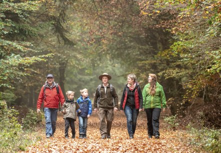 Nationalpark Eifel-2018-163, © D. Ketz