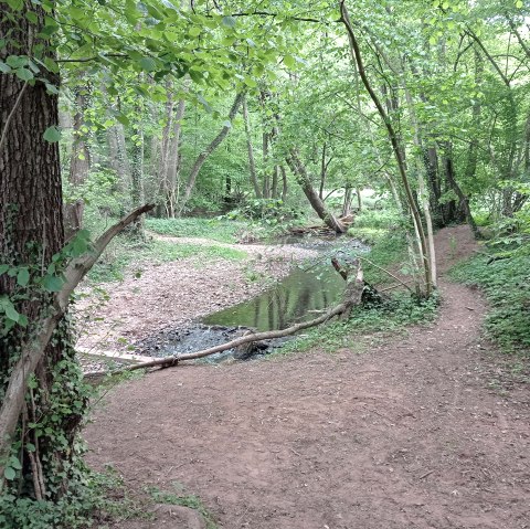 Mission Kraft schöpfen, © Seelsorge in Nationalpark Eifel und Vogelsang