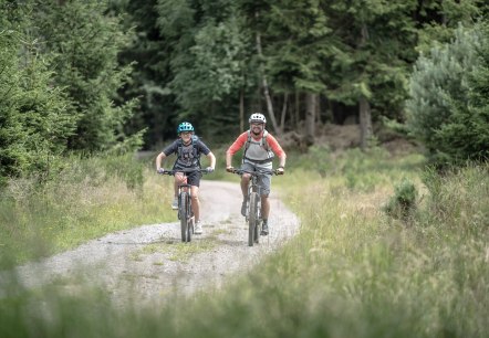 Freifahrt Eifel Mountainbike-Touren, © Eifel Tourismus GmbH, Dennis Stratmann