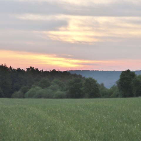 Wandeling in de ochtend, © Rainer Faymonville