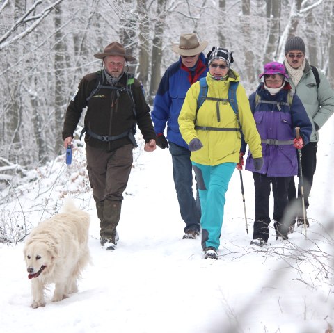 Rangerwanderung im Schnee, © Nationalpark Eifel - M. Menninghaus