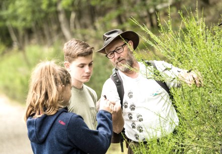 Familientag im Nationalpark Eifel, © D. Ketz