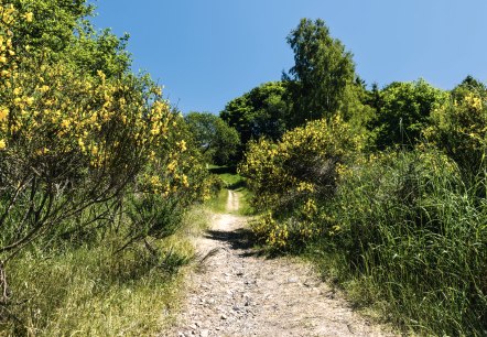 Kachel Wandern