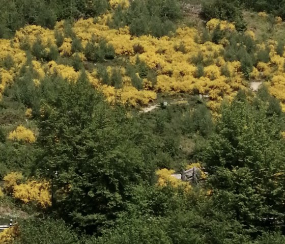 Sentier de randonnée du fer, Gemünd