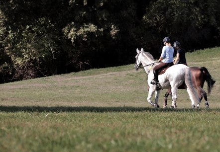 reiten, © pixabay