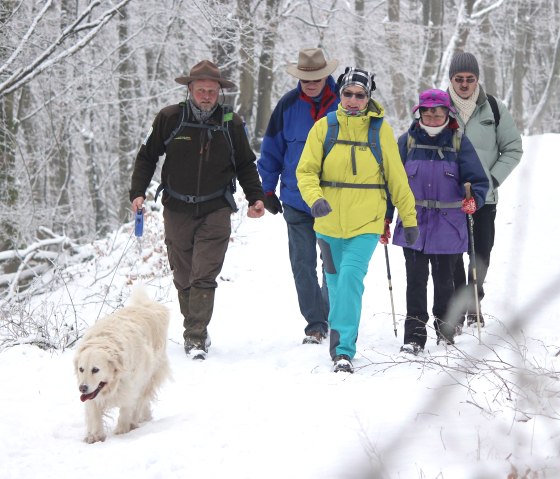 Rangerwanderung im Schnee, © Nationalpark Eifel - M. Menninghaus