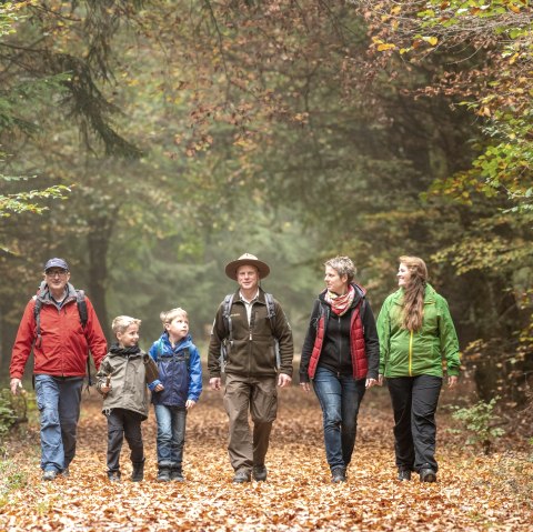 Parc national de l'Eifel-2018-163, © D. Ketz