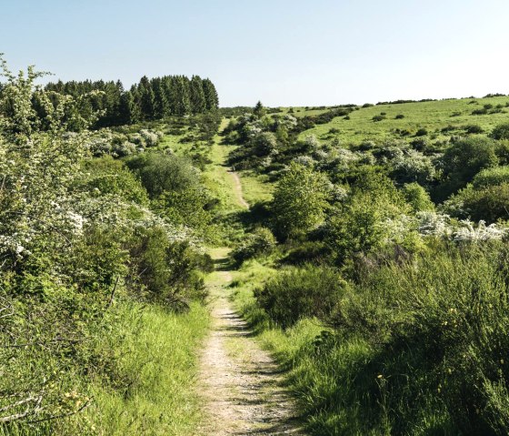 Wandeling Op Platt, © Frank Wiesen