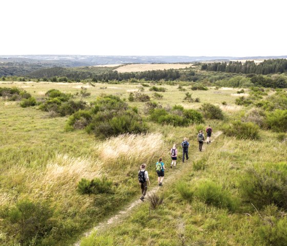 Dreiborner Hochfläche, © Nationalpark Eifel - Dominik Ketz