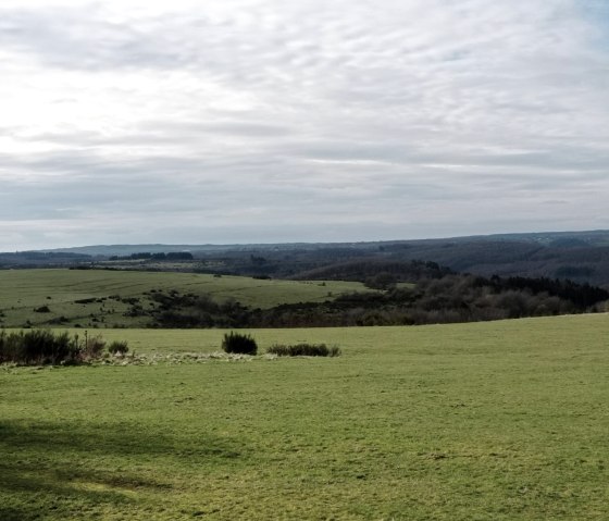 Dreiborn plateau, © Seelsorge in Nationalpark Eifel und Vogelsang