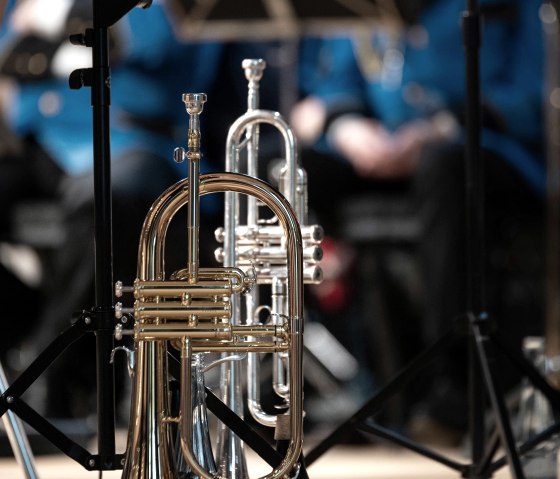 Trompete, © GfW Schleiden