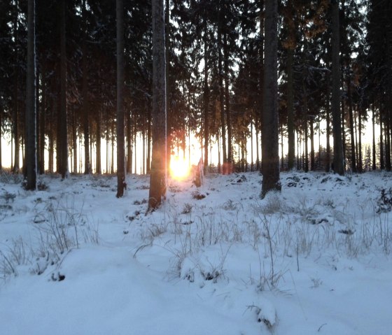 Sonnenaufgang im Nationalpark Eifel, © kph