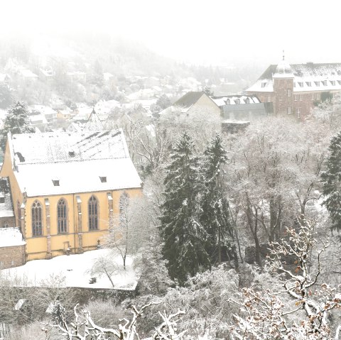 Familienwanderung, © Frank Wiesen