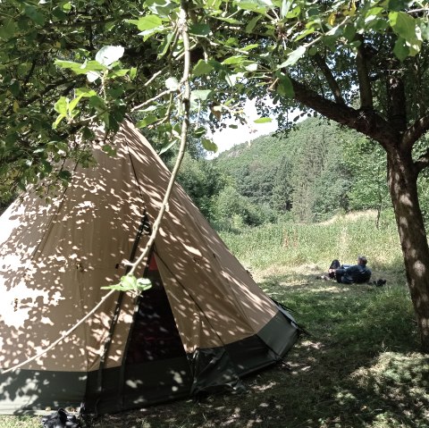 Tout-terrain pour les familles, © NPS