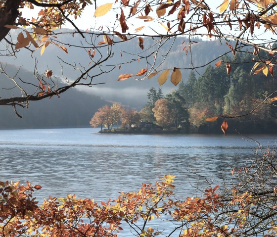 21747 herbstlicher Blick zum Hannesauel, © Nordeifel Tourismus GmbH & Eifel llike home