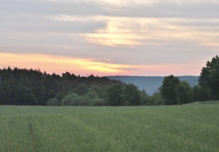 Wanderung in den Morgen, © Rainer Faymonville