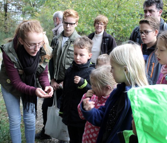 Junior Ranger Tour