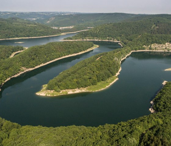 Blick in den Nationalpark Eifel, © Eifel Tourismus GmbH, D. Ketz