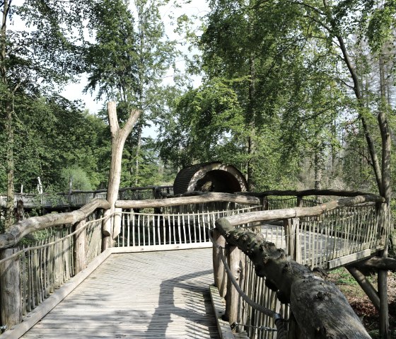 Holzsteg, © Nationalpark Eifel, J. Dörstel