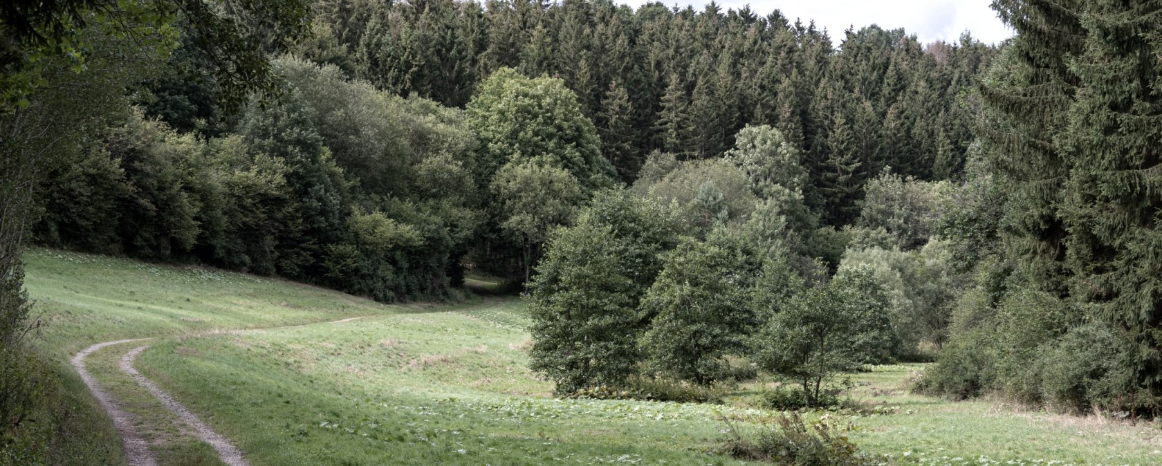 Schafbachtal, Eifelspur zon, maan en sterren, © Nordeifel Tourismus