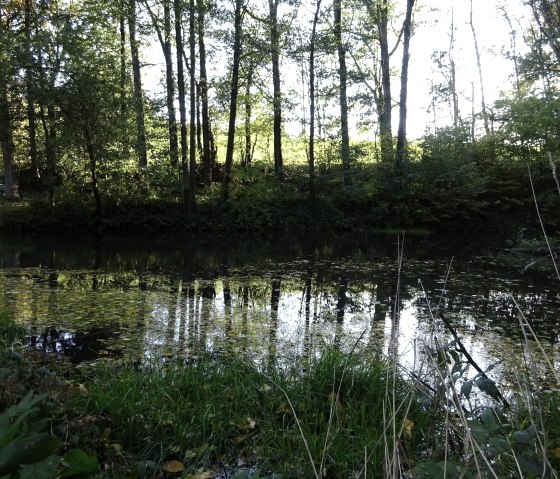 Weiher bei Berescheid, © Edgar Hoss