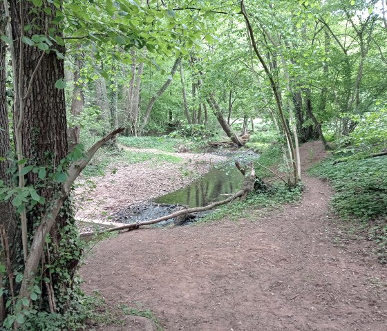 Mission Kraft schöpfen, © Seelsorge in Nationalpark Eifel und Vogelsang