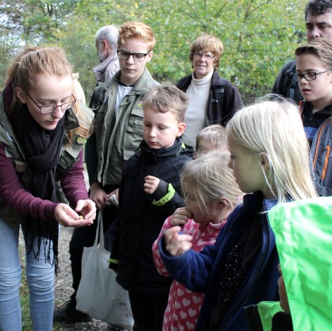 Junior Ranger Tour