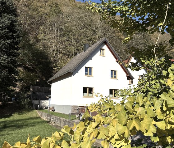 Frontalansicht mit Ginkgo Biloba, © Nordeifel Tourismus GmbH & Ferienhaus Glnkgo Biloba