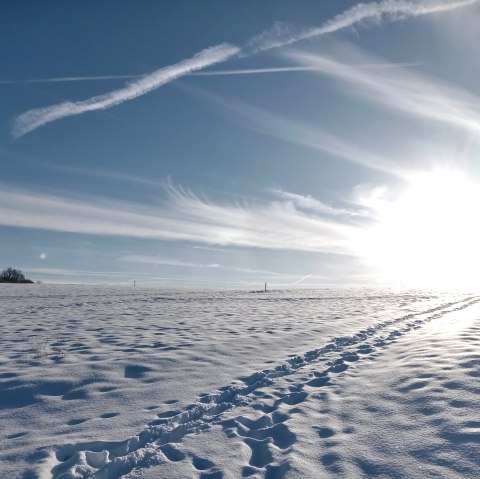 Aufbrechne und Ankommen, © Seelsorge in Nationalpark Eifel und Vogelsang