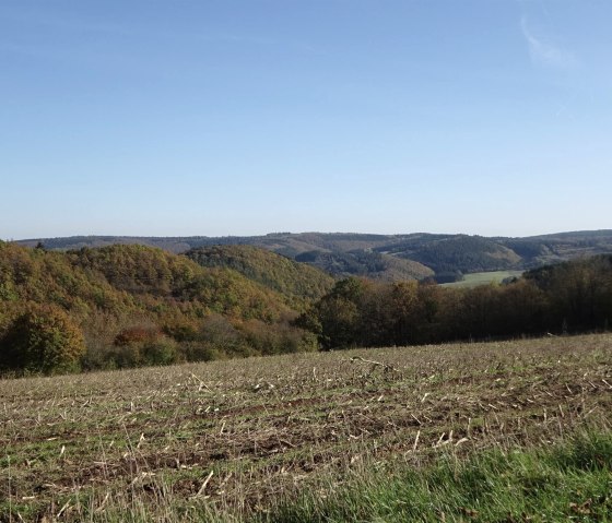 Hochfläche bei Herhahn, © Edgar Hoss