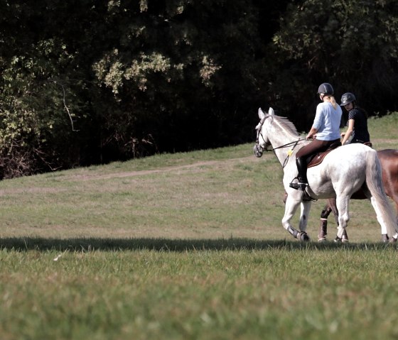 reiten, © pixabay